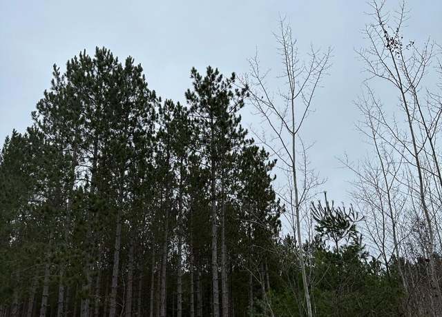 Property at ON Swamp Lake Rd Unit 4069-10, WI 54487