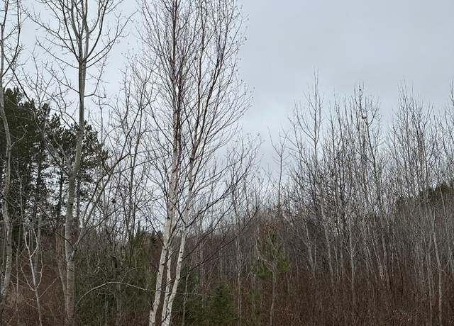 Property at ON Swamp Lake Rd Unit 4069-11, WI 54487