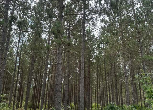 Property at ON Lee Rd Lot 2, Tomahawk, WI 54487