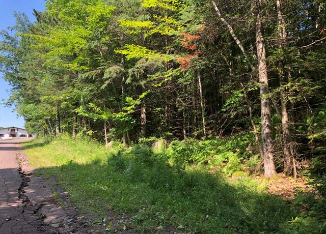 Property at Outlot 1 Skye Dr, Upson, WI 54565
