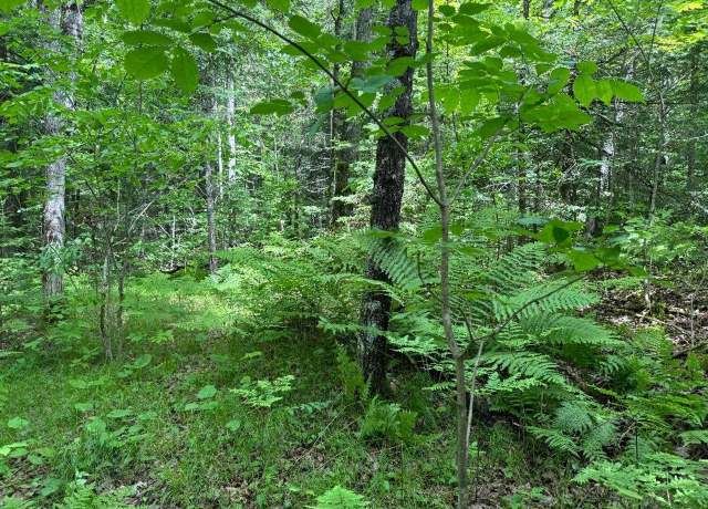 Property at ON Cth Ff Unit 1.5 Acres, Mercer, WI 54547