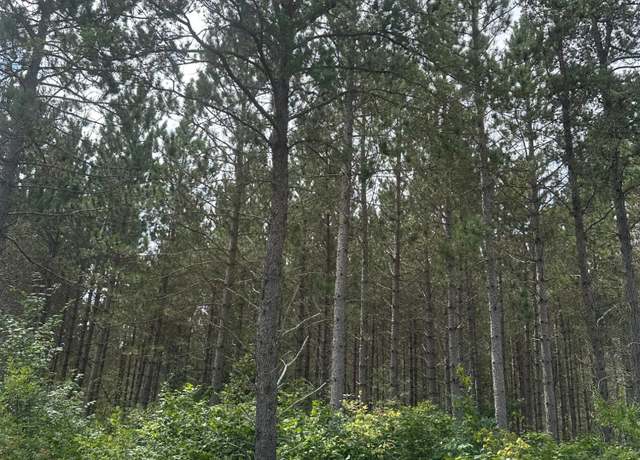 Property at ON Lee Rd Lot 4, Tomahawk, WI 54487