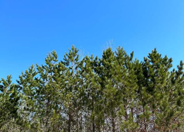 Property at ON Lower Kaubashine Rd Unit 4094-3, WI 54548
