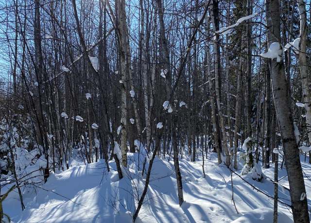 Property at NEAR Springstead Rd, Park Falls, WI 54552