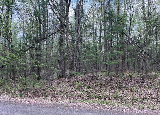 Property at Off Moonshine Valley Rd Lot 14, Presque Isle, WI 54512