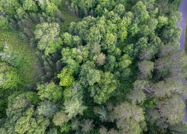 Property at Lot 18 Dads Lake Rd, Eagle River, WI 54521
