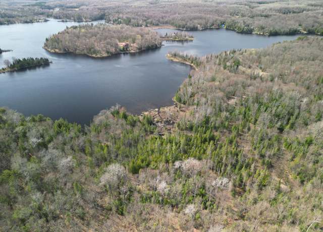 Property at 30 &31 Red Maple Lndg, Marenisco, MI 49947
