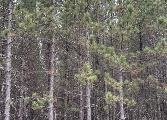 Property at ON Lee Rd Lot 7, Tomahawk, WI 54487