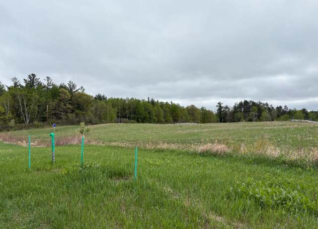 Property at 9+ acres Hwy 17, Rhinelander, WI 54501