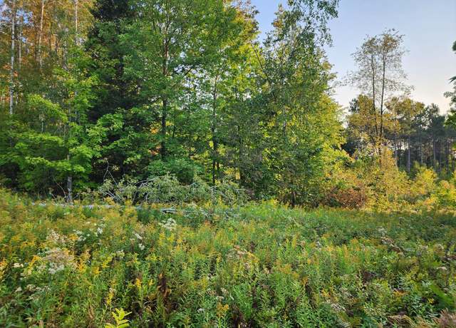 Property at 10 ac ON Sipple Rd, Crandon, WI 54520
