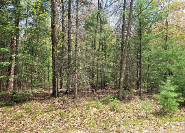 Property at Lot #6 Boardwalk Dr, Sugar Camp, WI 54521