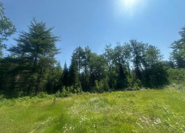 Property at 4204 Hegemann Rd, Conover, WI 54519