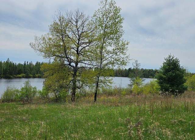 Property at 4103W Weber Rd, Mercer, WI 54547