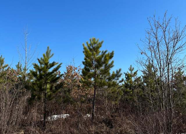 Property at ON Spring Creek Dr Unit 4080-1, Tomahawk, WI 54487