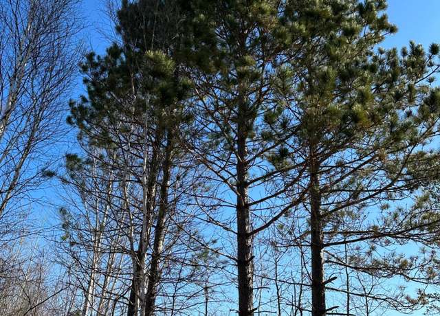 Property at ON Spring Creek Dr Unit 4080-3, Tomahawk, WI 54487