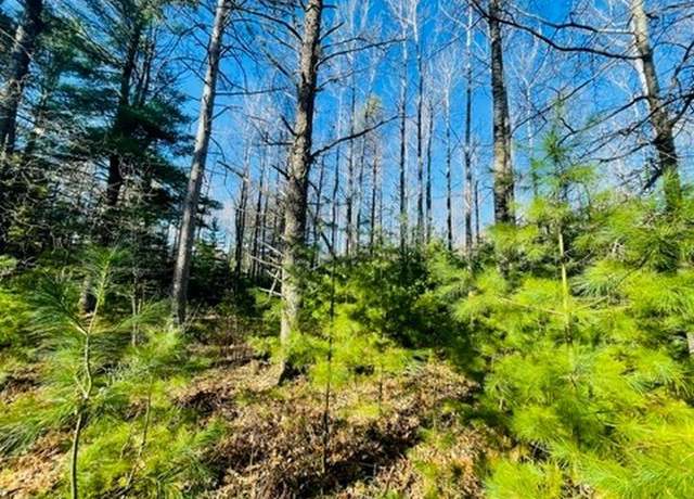 Property at Lot #3 Yellow Birch Rd, Presque Isle, WI 54557