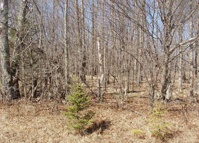 Property at 4th Add. Margaret Ln Lot 14, Park Falls, WI 54552