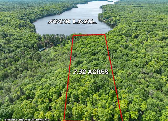 Property at ON Duck Lake Rd W, Land O Lakes, MI 49969