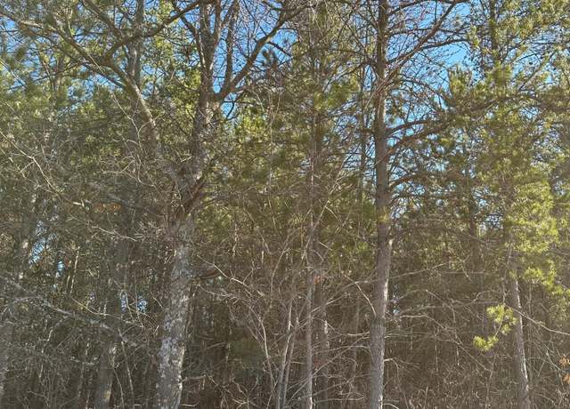 Property at ON Lower Kaubashine Rd Unit 4094-1, Minocqua, WI 54548