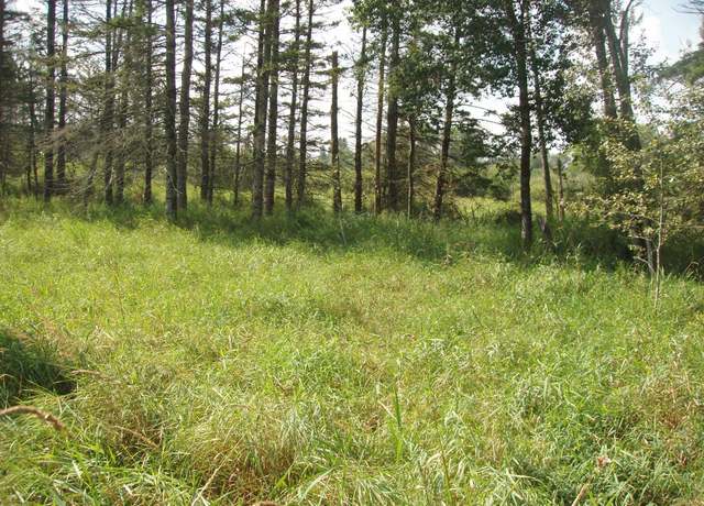 Property at 316 E Illinois St, Butternut, WI 54514