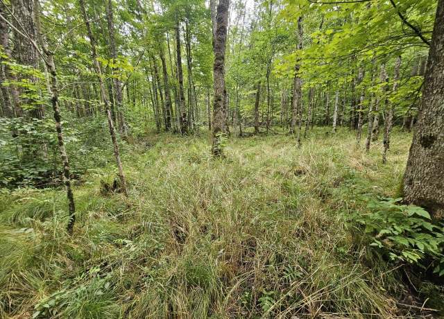 Property at ON Aspen Ln, Phillips, WI 54555