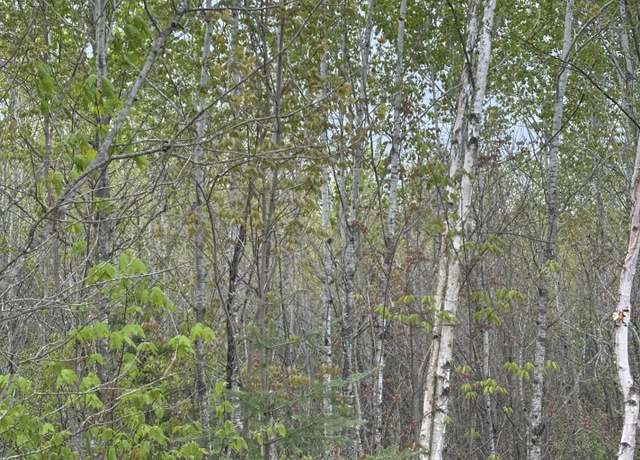 Property at ON Long Shot Ln Unit 4093-A, Minocqua, WI 54548