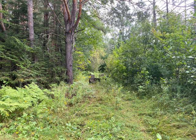 Property at 40 AC On Margaret Lake Rd, Three Lakes, WI 54562
