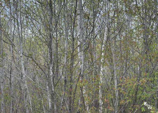 Property at ON Long Shot Ln Unit 4093-B, Minocqua, WI 54548
