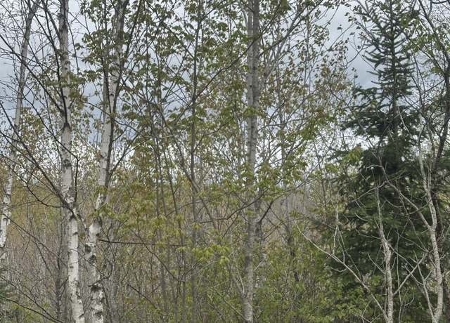 Property at NEAR Camp Nine Rd Unit 4093-C, Minocqua, WI 54548