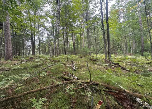 Property at 1257 Tall Pine Ter Unit 7 & 14, St Germain, WI 54558
