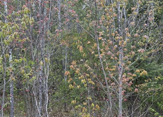 Property at NEAR Camp Nine Rd Unit 4093-D, Minocqua, WI 54548