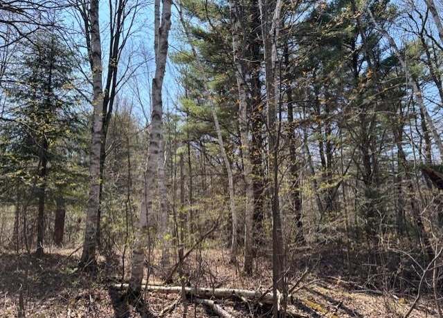 Property at 40 acre Cottrell Ave, Irma, WI 54442