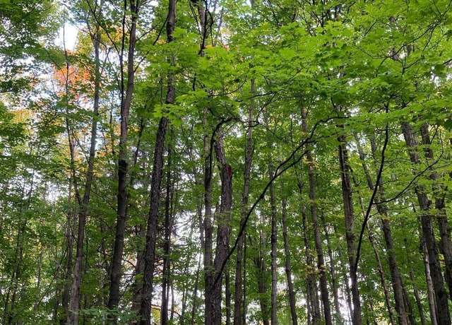 Property at ON Lost Rd Unit Tract 4053, Tomahawk, WI 54487