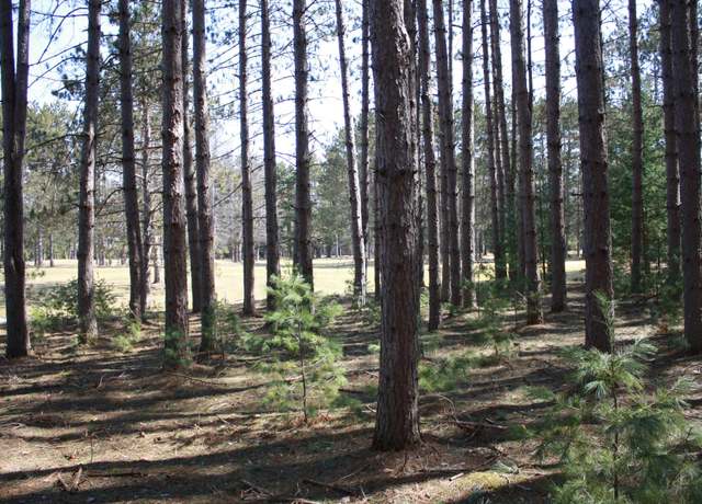 Property at ON Pine Grove Crk Unit 166-167, Minocqua, WI 54548