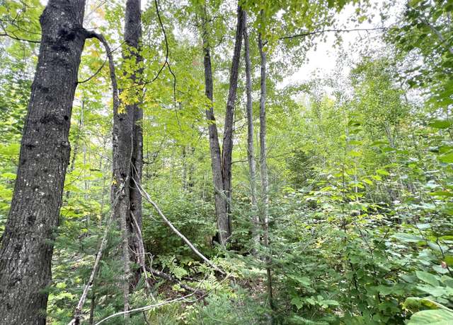 Property at 5.56ac Star Lake Rd, Crandon, WI 54520