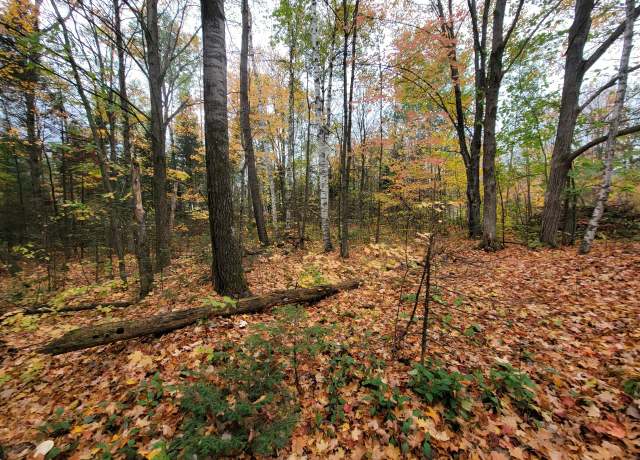 Property at ON Cth B Lot 1, Deerbrook, WI 54424