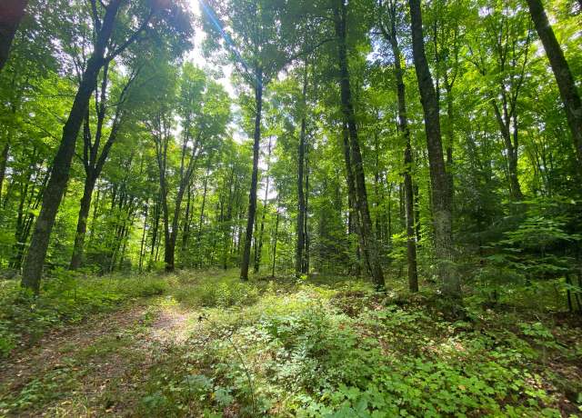 Property at NEAR Schmidt Ln, Argonne, WI 54511