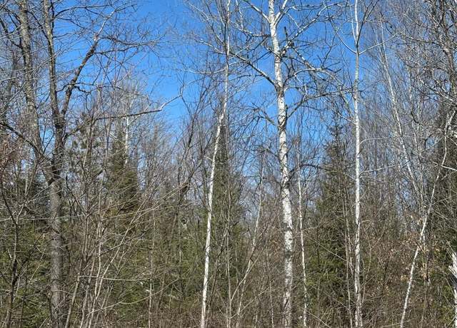 Property at NEAR Meister Stockley Rd Unit Tract 8422, WI 54501