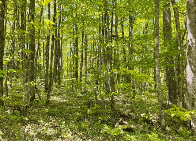 Property at TBD Korpela Rd, MI 49911