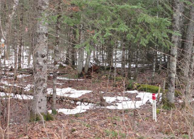 Property at 00 Black Forest Rd, Presque Isle, WI 54557