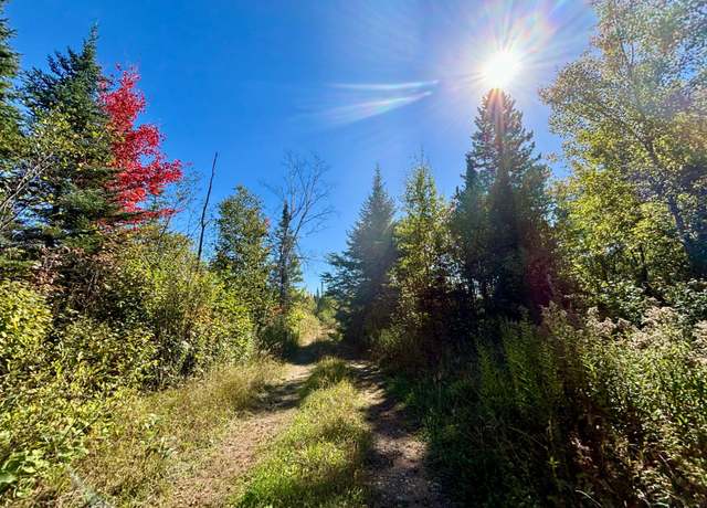 Property at 30A Off Minnow Creek Rd, WI 54546