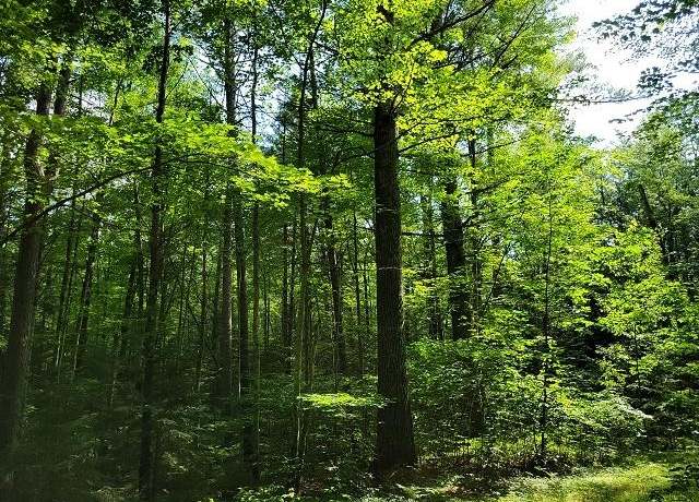 Property at Lot #6 Bills Lake Rd Lot 6, Lac Du Flambeau, WI 54538