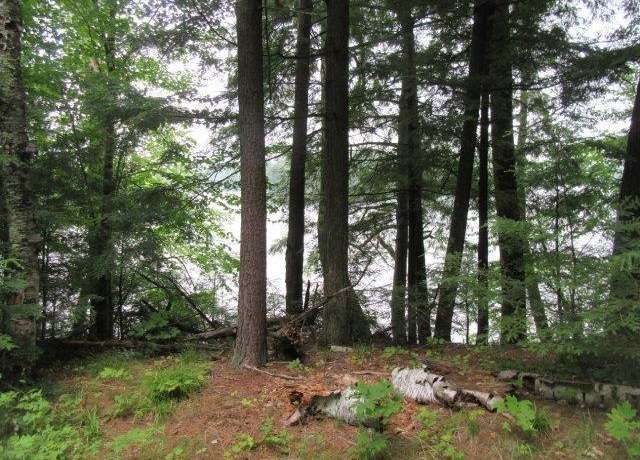 Property at ON Arbor Ln Lot 1 & 2, WI 54538