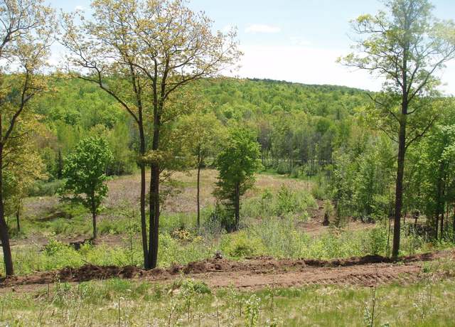 Property at ON Hwy 169 Lot 1, Mellen, WI 54546