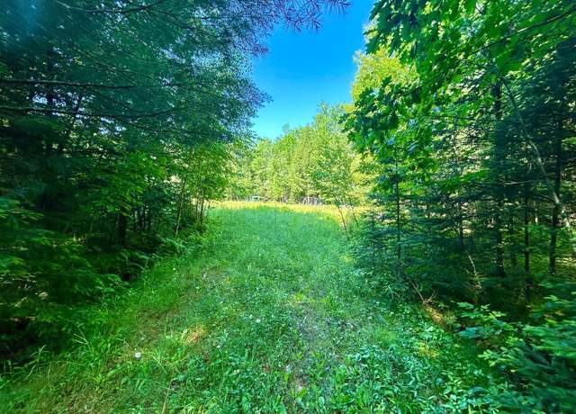 Property at ON Johnson Rd Unit 40 ACRES, Crandon, WI 54520
