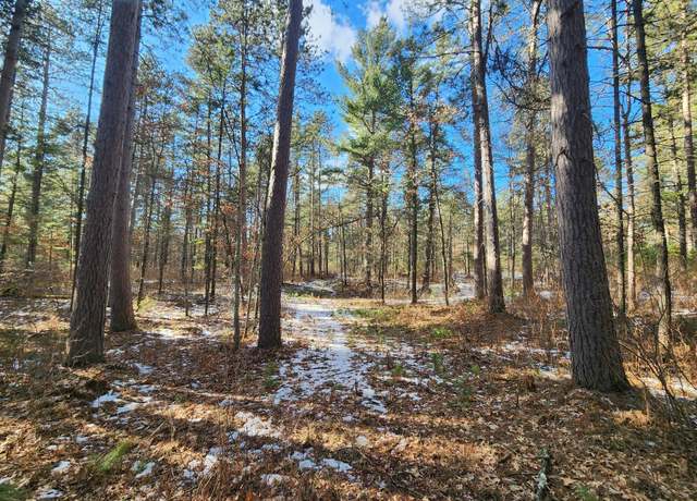 Property at 32 Acres Hwy 70, St Germain, WI 54558