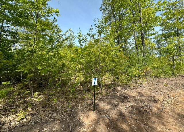 Property at Lot 7 Cth B, Land O Lakes, WI 54540