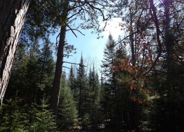 Property at 16+ AC River Rd, Rhinelander, WI 54501