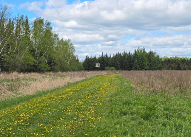 Property at ON Hwy 45 Unit 190 Ac., Antigo, WI 54424