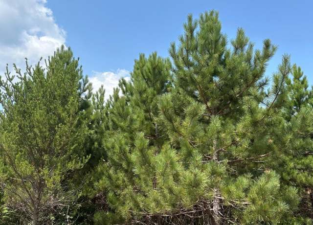 Property at ON Cth Y Lot 10, Tomahawk, WI 54487